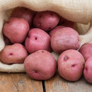 Potato Fresh Red 1kg